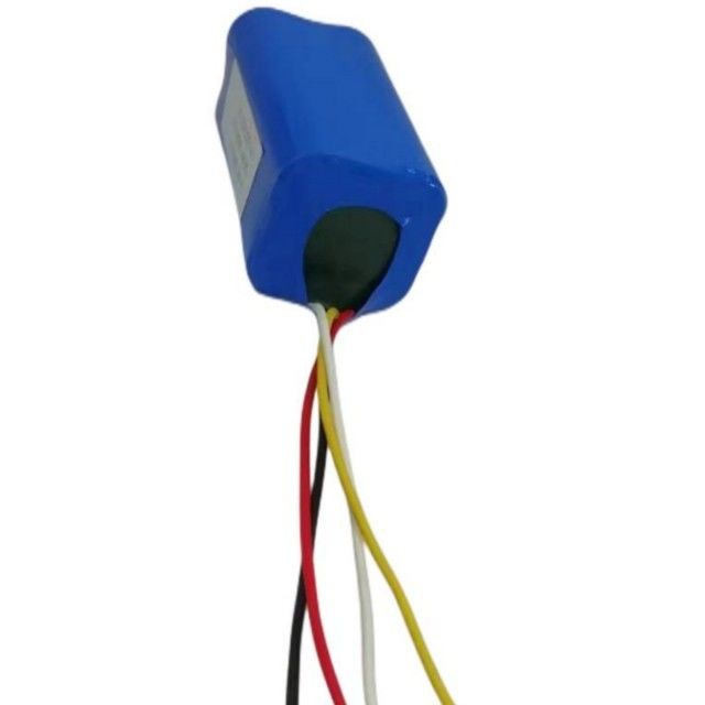 Personalisierte 14,8V 2200mah Batterie 18650 Zelle 4s1p mit BMS für Feger
