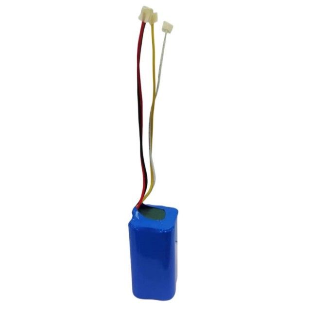 Personalisierte 14,8V 2200mah Batterie 18650 Zelle 4s1p mit BMS für Feger
