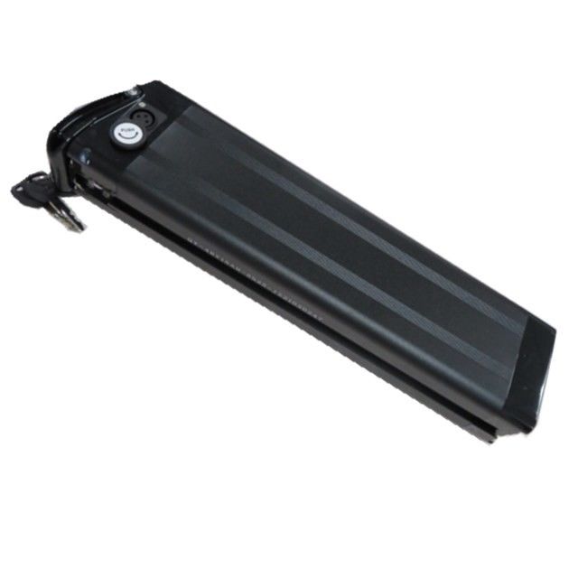 Silberfisch Batterie 48V 15Ah für E-Bike mit 3P Cannon Head Ladestation