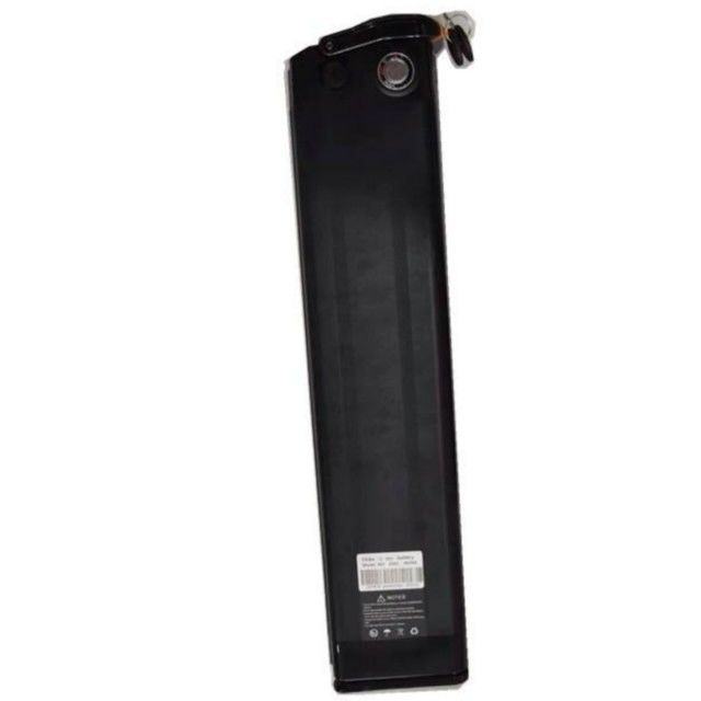 Silberfisch Lithiumbatterie 48V 25Ah Länge 630mm mit Ladegerät Für E-Bike