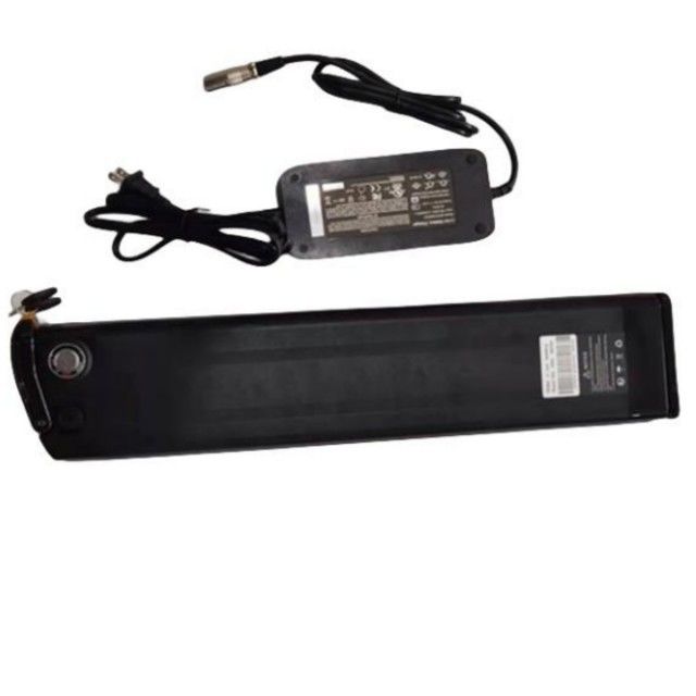 Silberfisch Lithiumbatterie 48V 25Ah Länge 630mm mit Ladegerät Für E-Bike