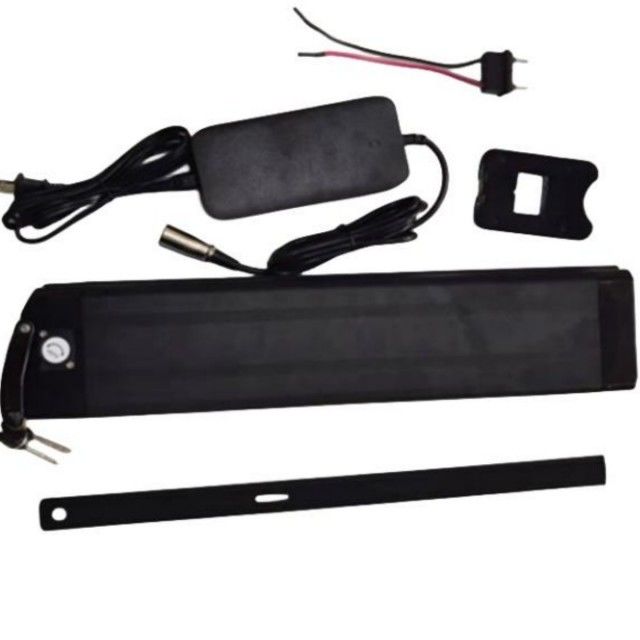 Silberfisch Lithiumbatterie 48V 25Ah Länge 630mm mit Ladegerät Für E-Bike