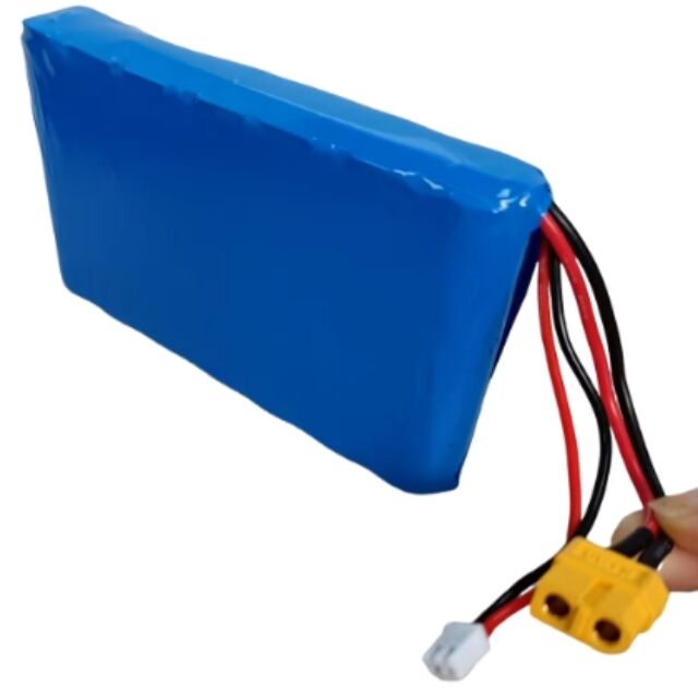 Kundenspezifischer Akku 7s1p 18650 24 V 3500 mAh für 350-W-Motor mit Xt60-Stecker