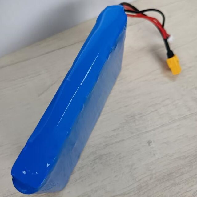 Kundenspezifischer Akku 7s1p 18650 24 V 3500 mAh für 350-W-Motor mit Xt60-Stecker