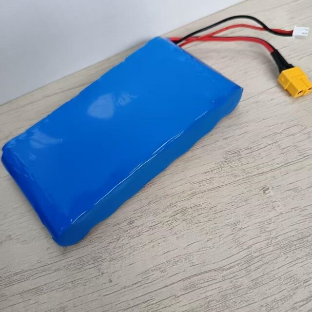 Kundenspezifischer Akku 7s1p 18650 24 V 3500 mAh für 350-W-Motor mit Xt60-Stecker